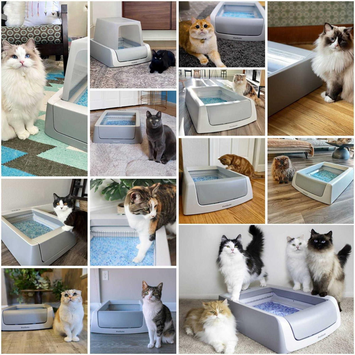 Self-Cleaning Cat Litter Box G783681