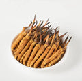 Whole Cordyceps Sinensis Mushroom 5 Grams O647