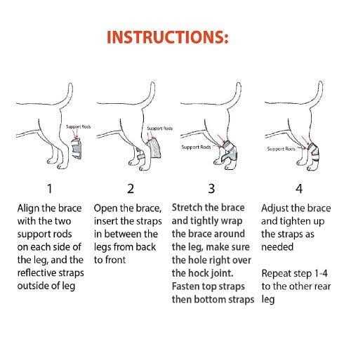 Dog Rear Leg Hock Metal Spring Strips G103800