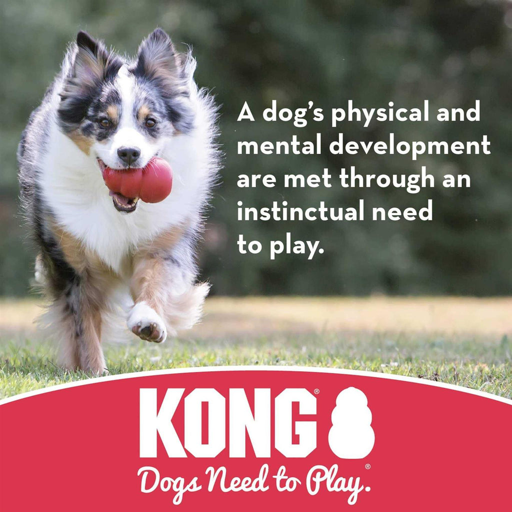 Puppy Ball with Hole Dog Toy Y108