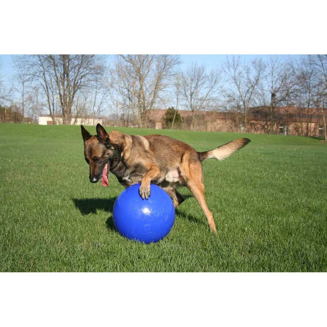 Push n Play Ball M8161