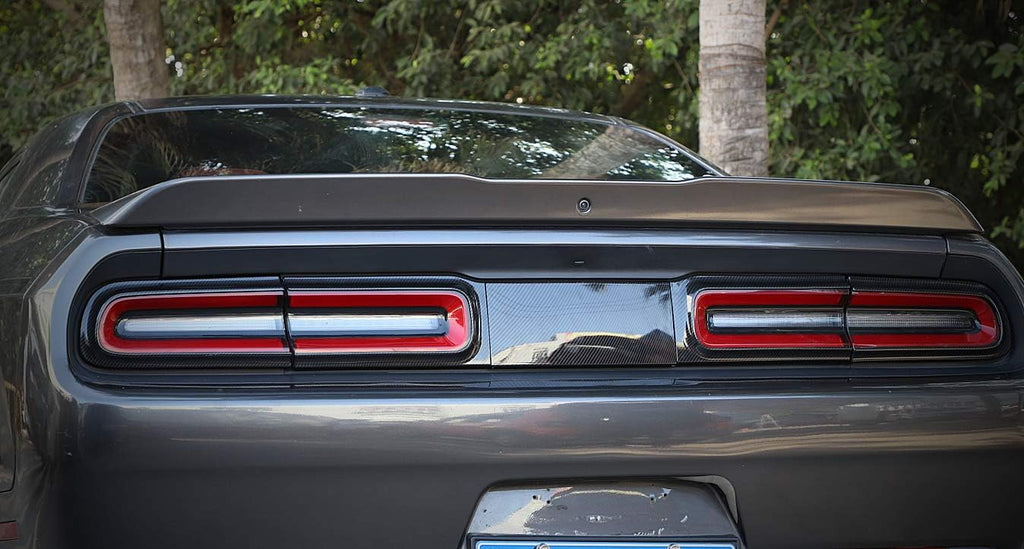 Carbon Fiber Taillight Trim N1277