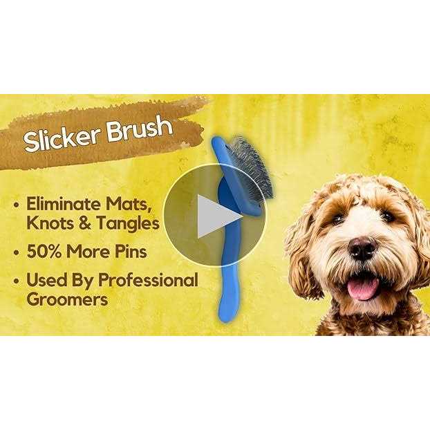Dog Slicker Brush Z592