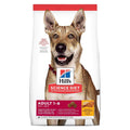 Adult Dog Food Chicken & Barley B7201