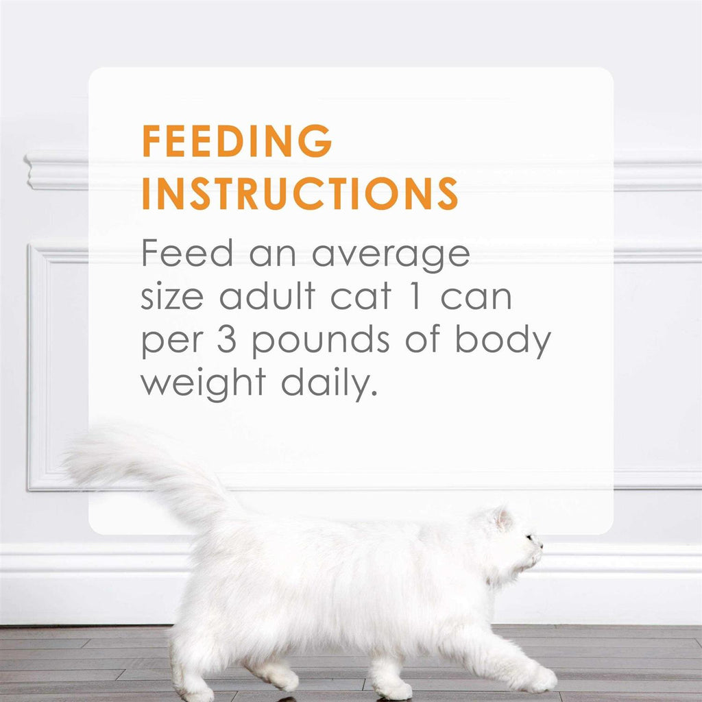 Wet Cat Food E731