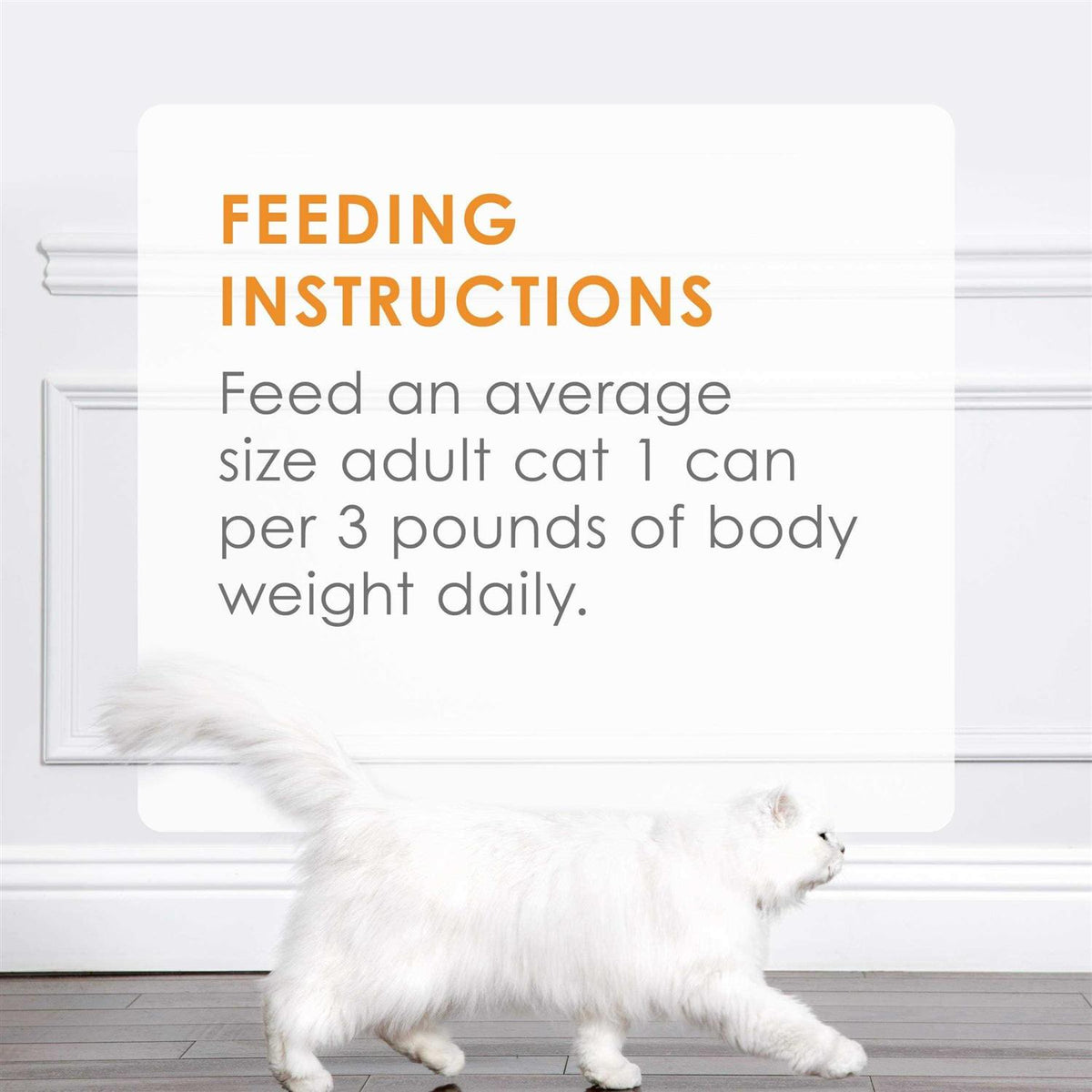 Wet Cat Food E731