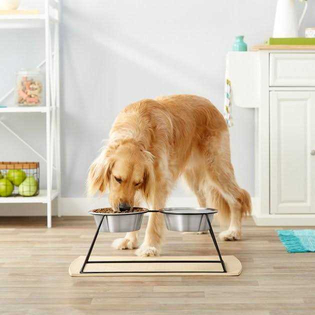 Elevated Dog & Cat Diner P42923