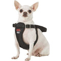 Easy Rider Car Harness M730