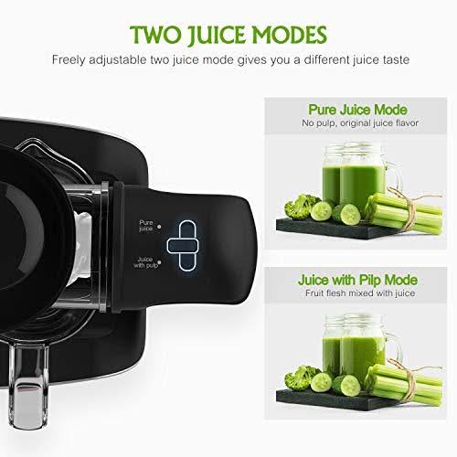 Slow Cold Press Juicer with Ceramic Auger E9274
