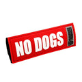 Dog Collar and Leash I392939