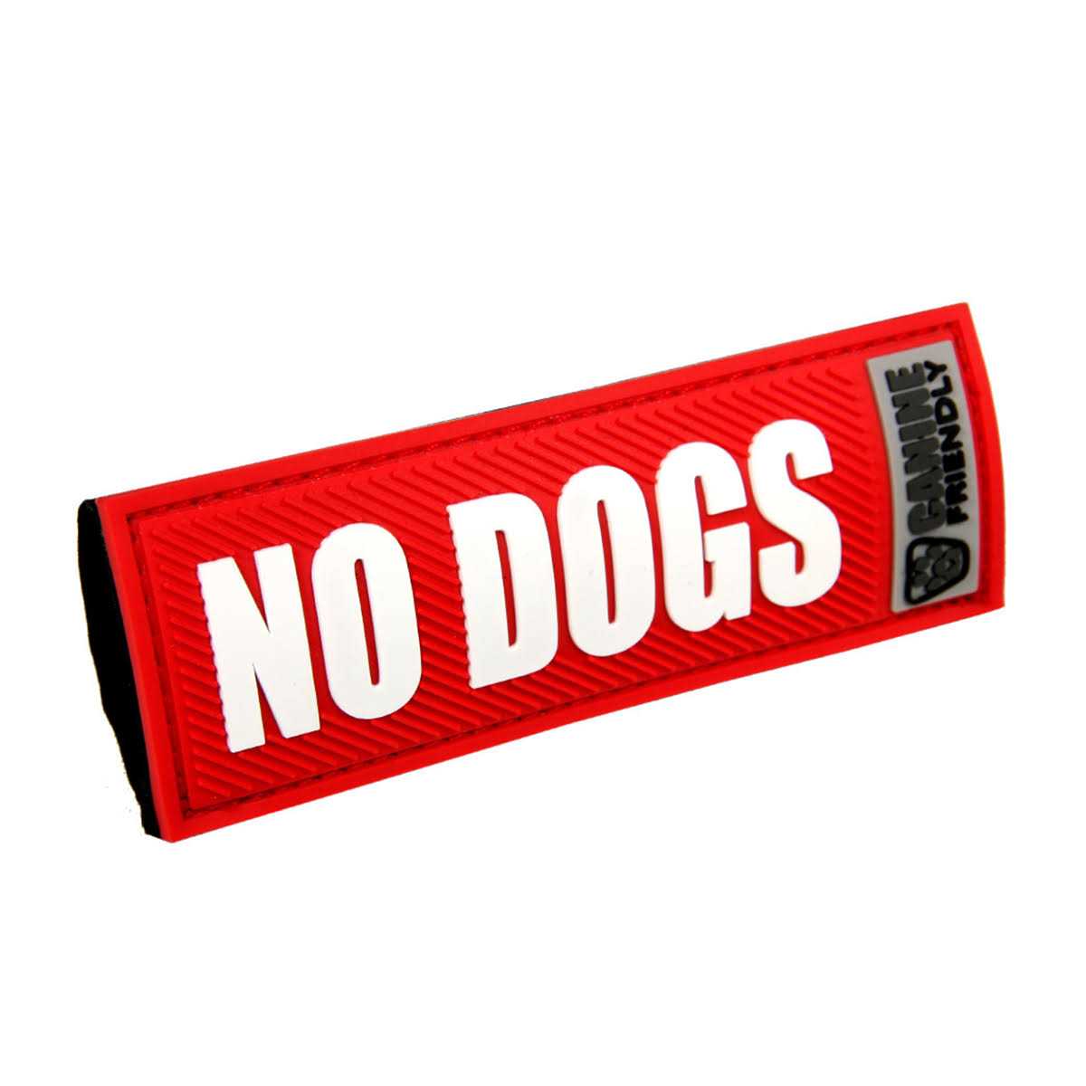 Dog Collar and Leash I392939