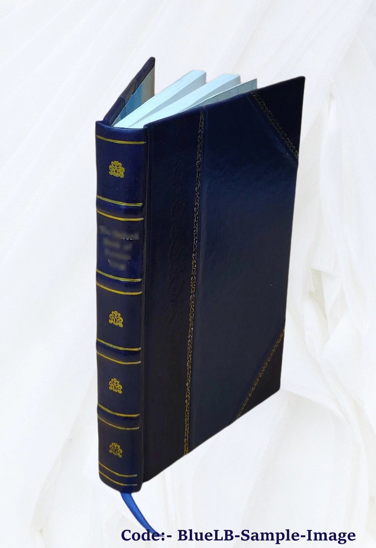 Home Furnishing Leather Bound P30992