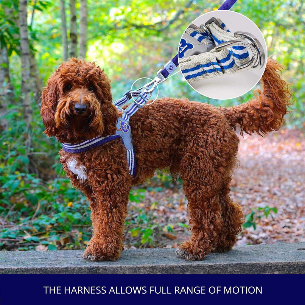 Dog Harness L172