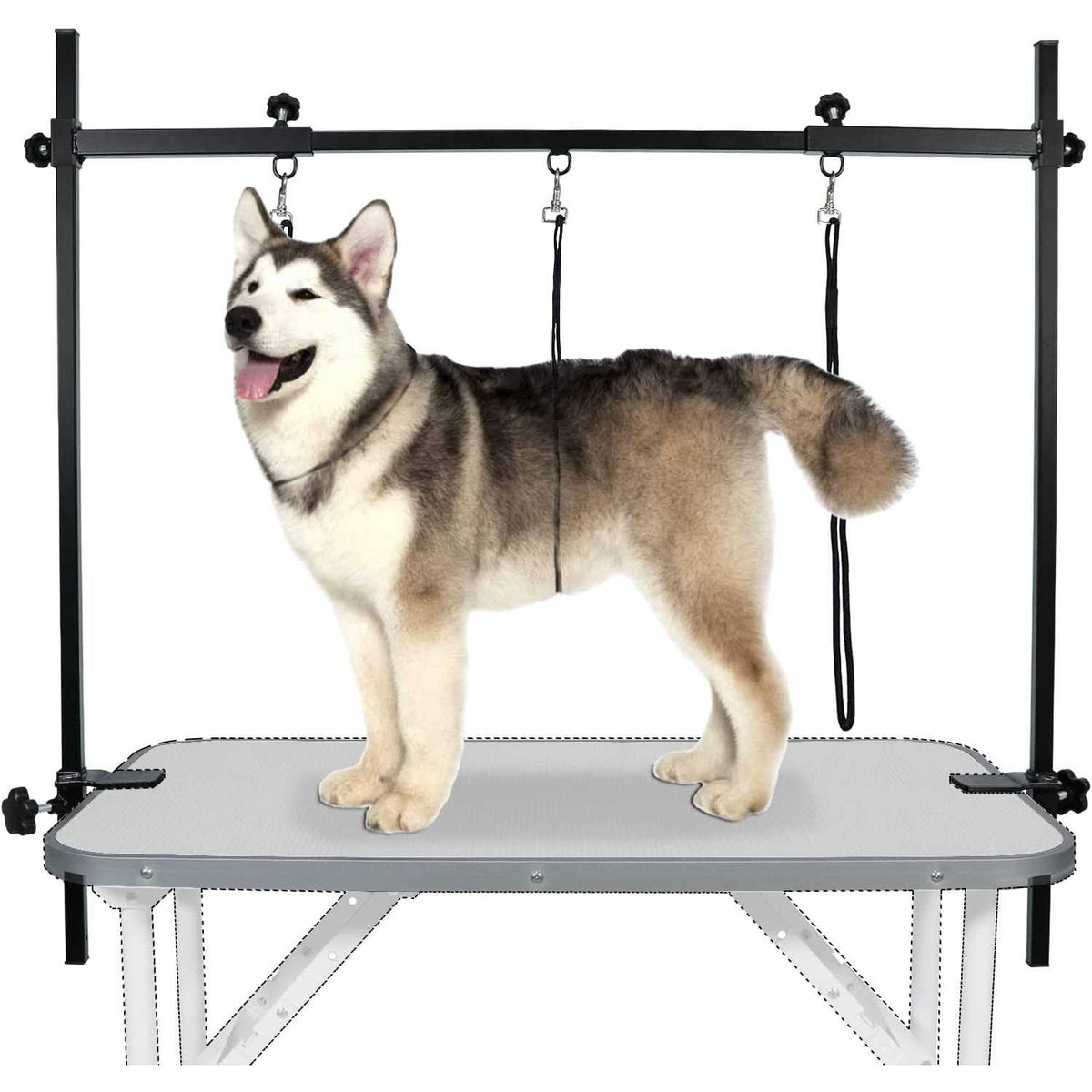 Dog Grooming Table Arm with 3 Noose and Clamp C6388