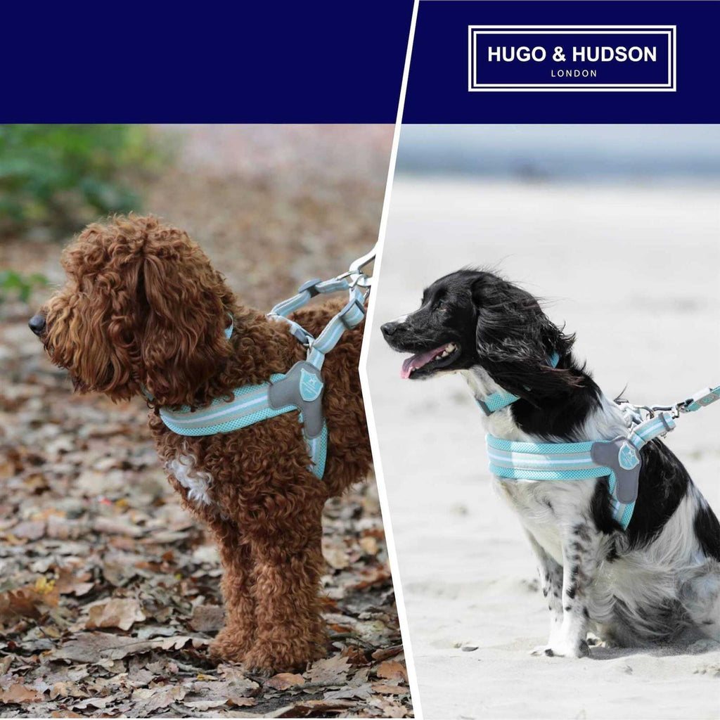 Dog Harness P134