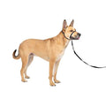 Gentle Leader Headcollar D49282