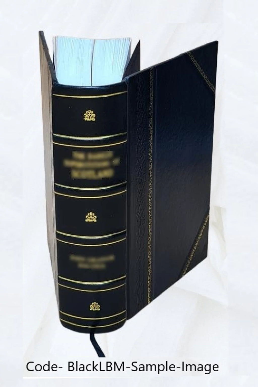 Hamburger Garten-und Blumenzeitung Volume v.42 1886 Leather Bound H486401