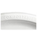 Compostable Sugarcane Plate 10" Natural White 50 pack M81957