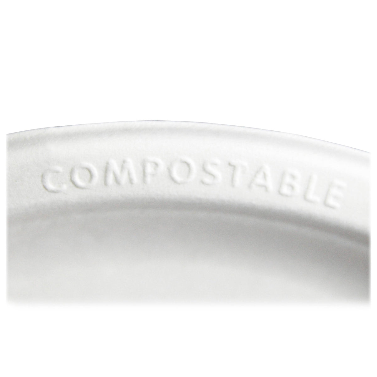 Compostable Sugarcane Plate 10" Natural White 50 pack M81957