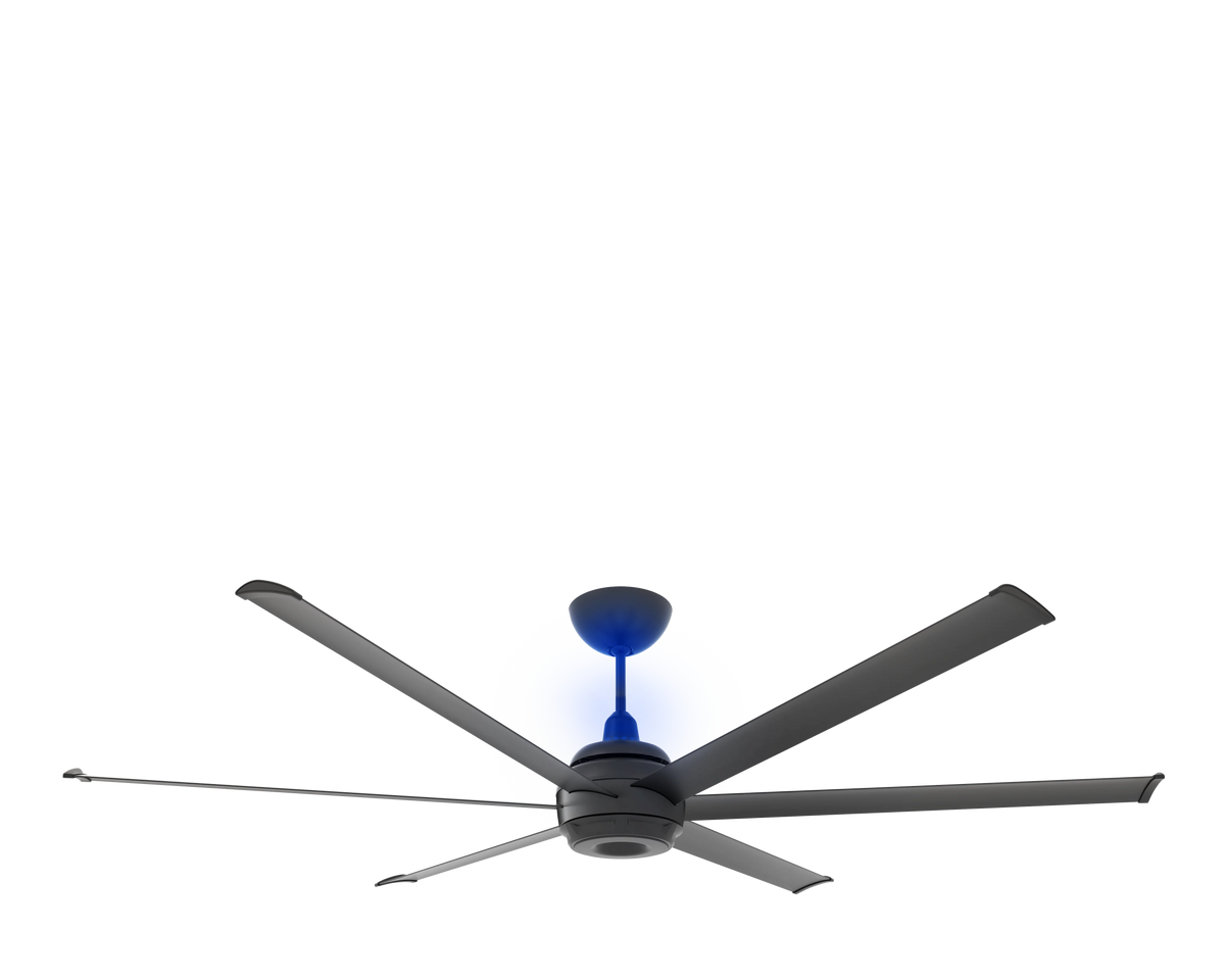 Black Ceiling Fan T53554