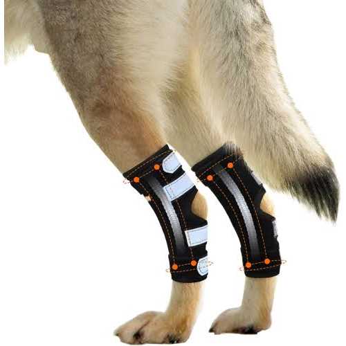 Dog Rear Leg Hock Metal Spring Strips G103800