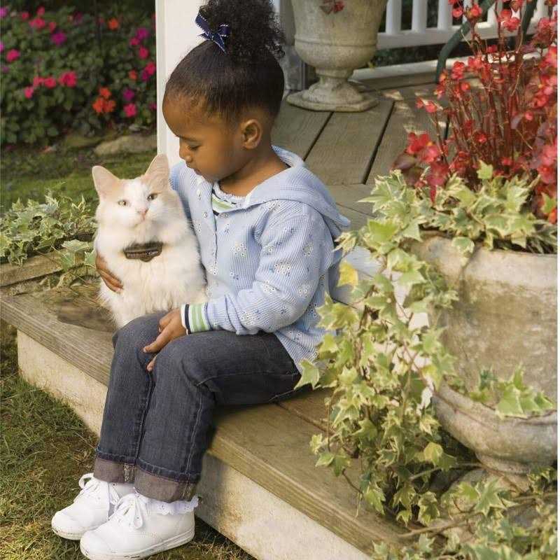 Cat Fence Receiver Collar B56196