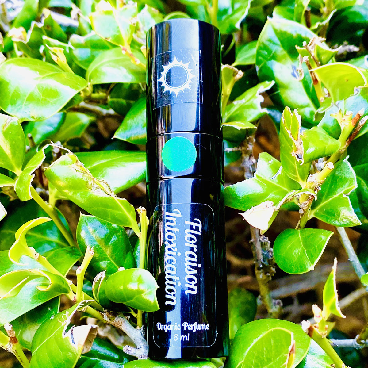 Natural Male Perfume 8ml Green B999033