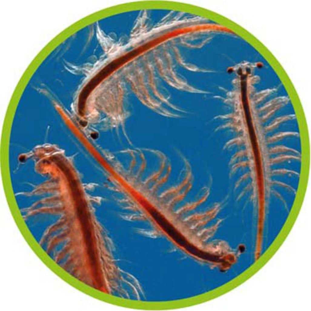 Pet Supplies C2284
