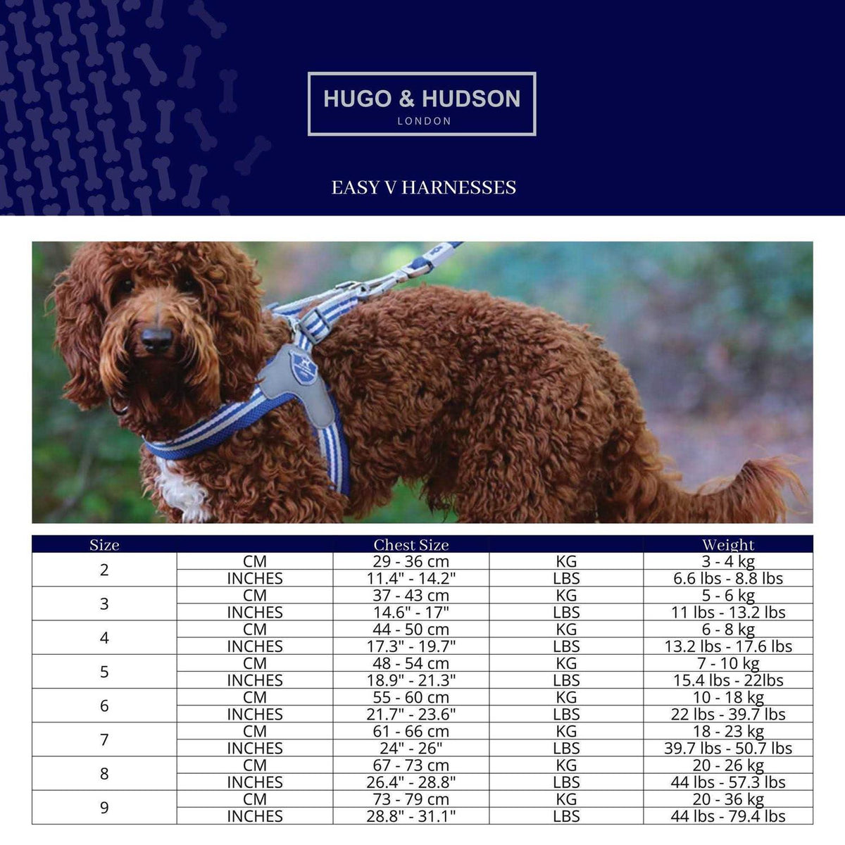 Dog Harness L172
