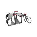 Doubleback Harness Z828022