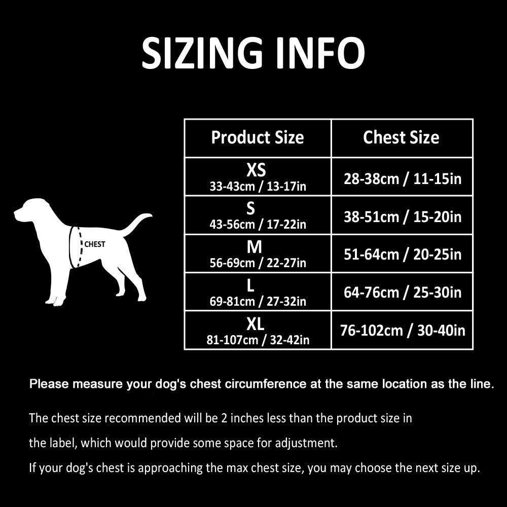 Reflective Dog Harness and Leash H430248