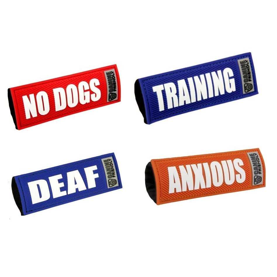 Dog Collar and Leash I392939