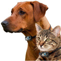 Automatic Dog and Cat Door C211