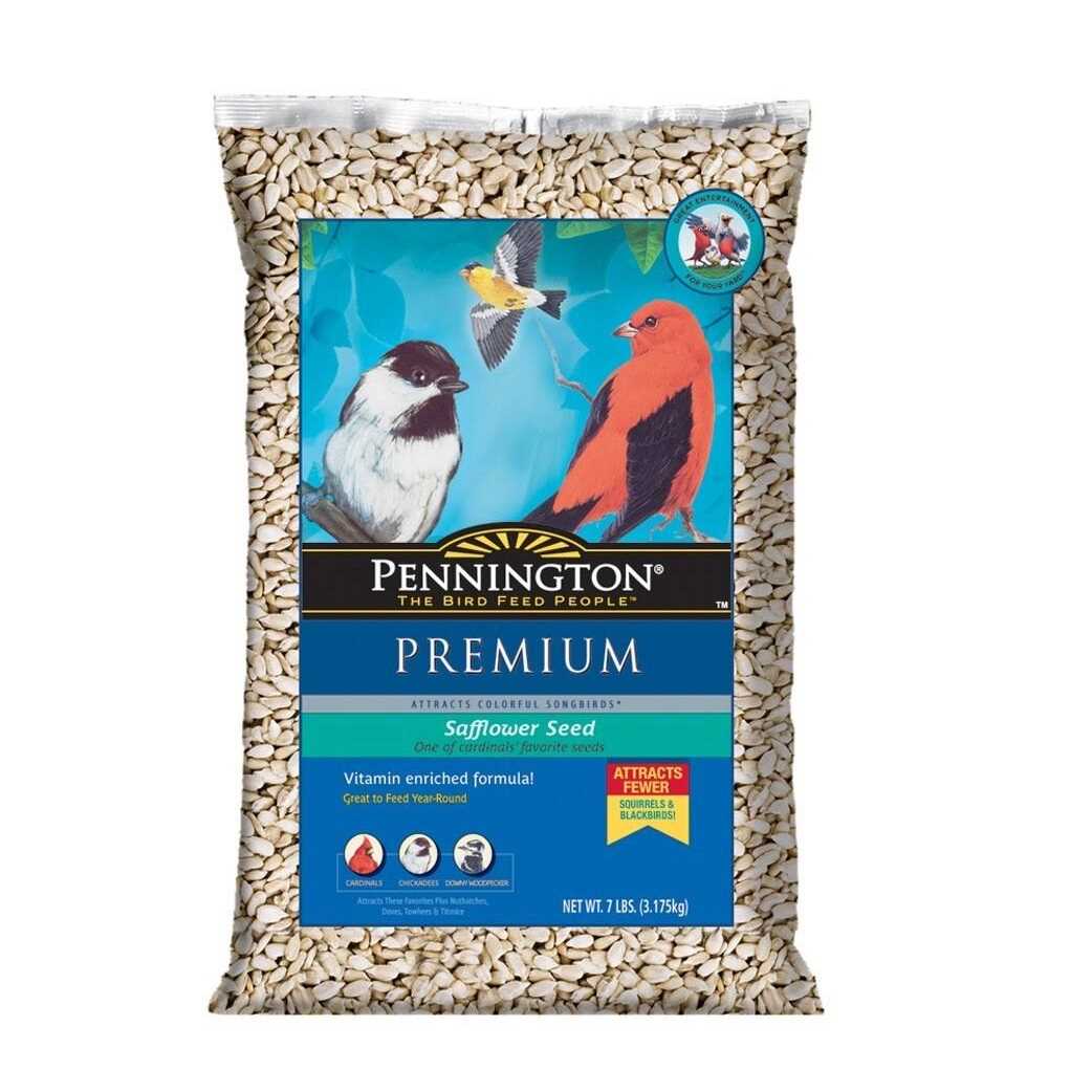 Safflower Seed Wild Bird Feed & Seed N9055