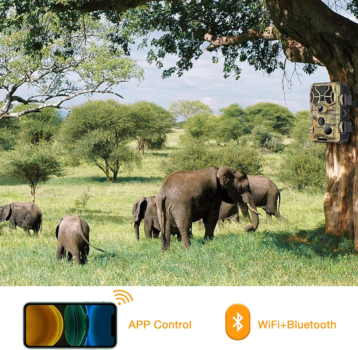 WiFi Bluetooth 1296P 20MP Hunting Game Camera Night Vision Waterproof IP66 S8486