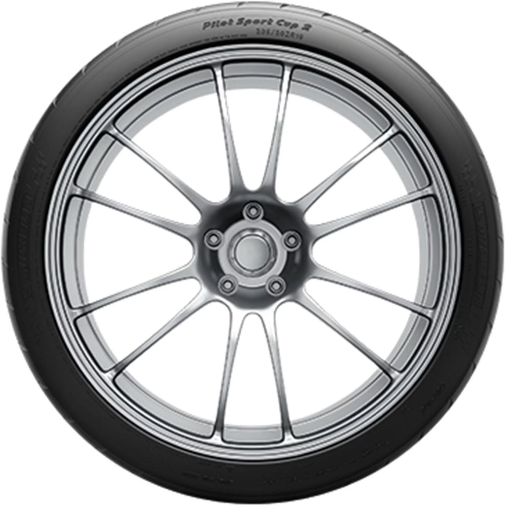 Summer 295/35ZR19 Passenger Tire S559