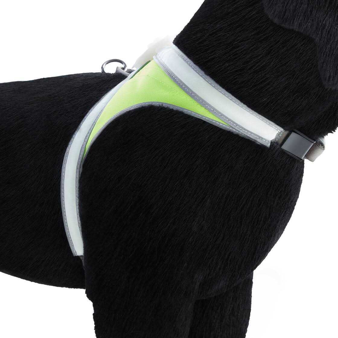 LED Reflective Dog Harness L139639