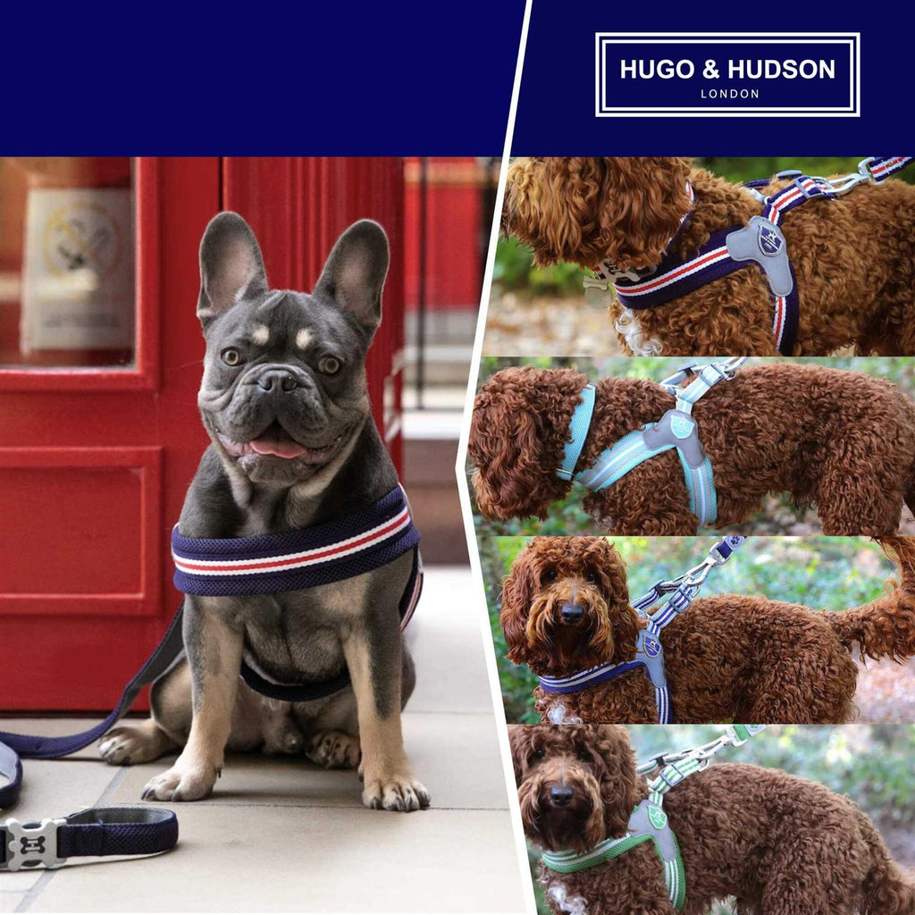 Dog Harness L172