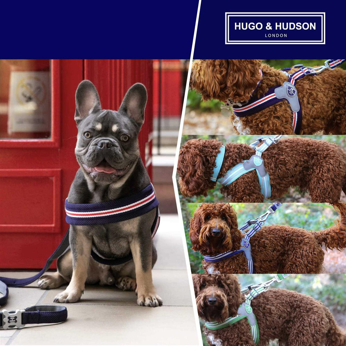 Dog Harness L172