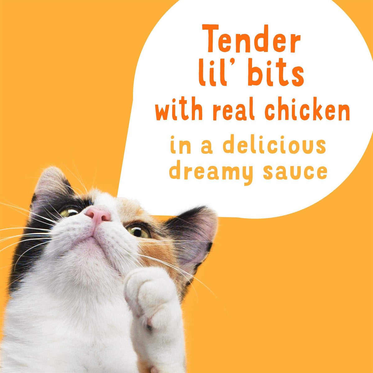 Shredded Chicken in Sauce Wet Cat Food Complement C580503