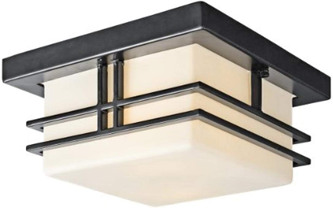 2 Light Black Outdoor Semi Flush Light C320868