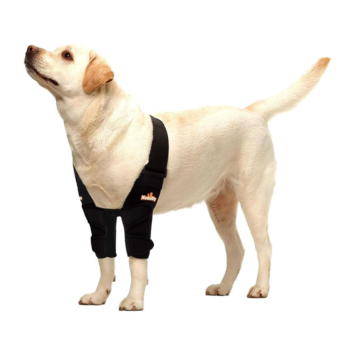 Dog Elbow Brace Protector Pads Y3581