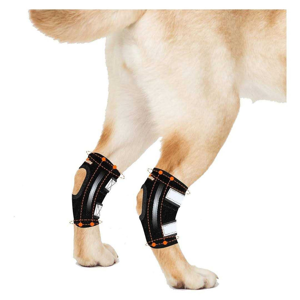 Dog Rear Leg Hock Metal Spring Strips G103800