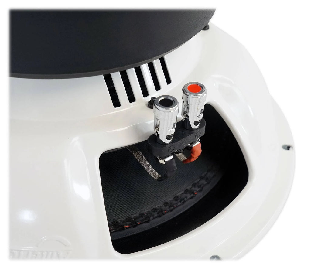12x22 Dual 4 Ohm Woofer I181281