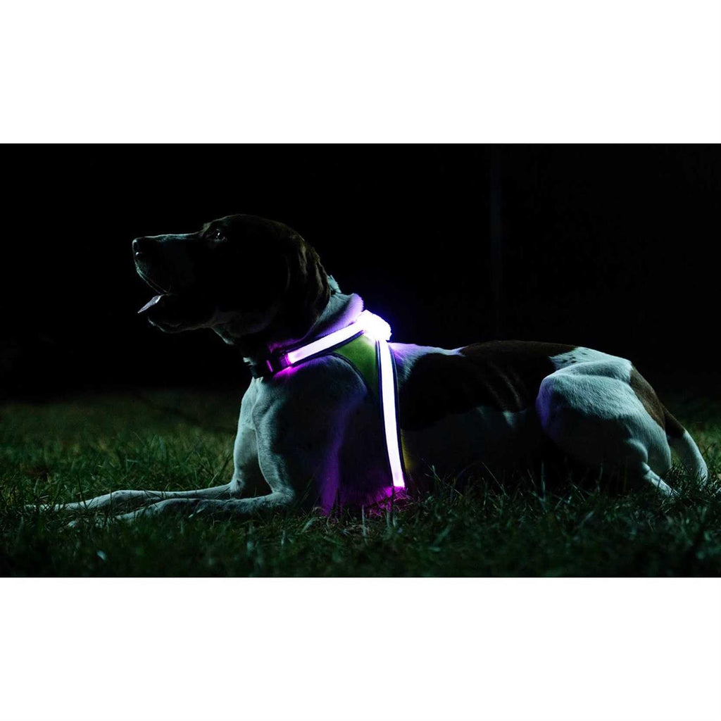 LED Reflective Dog Harness L139639