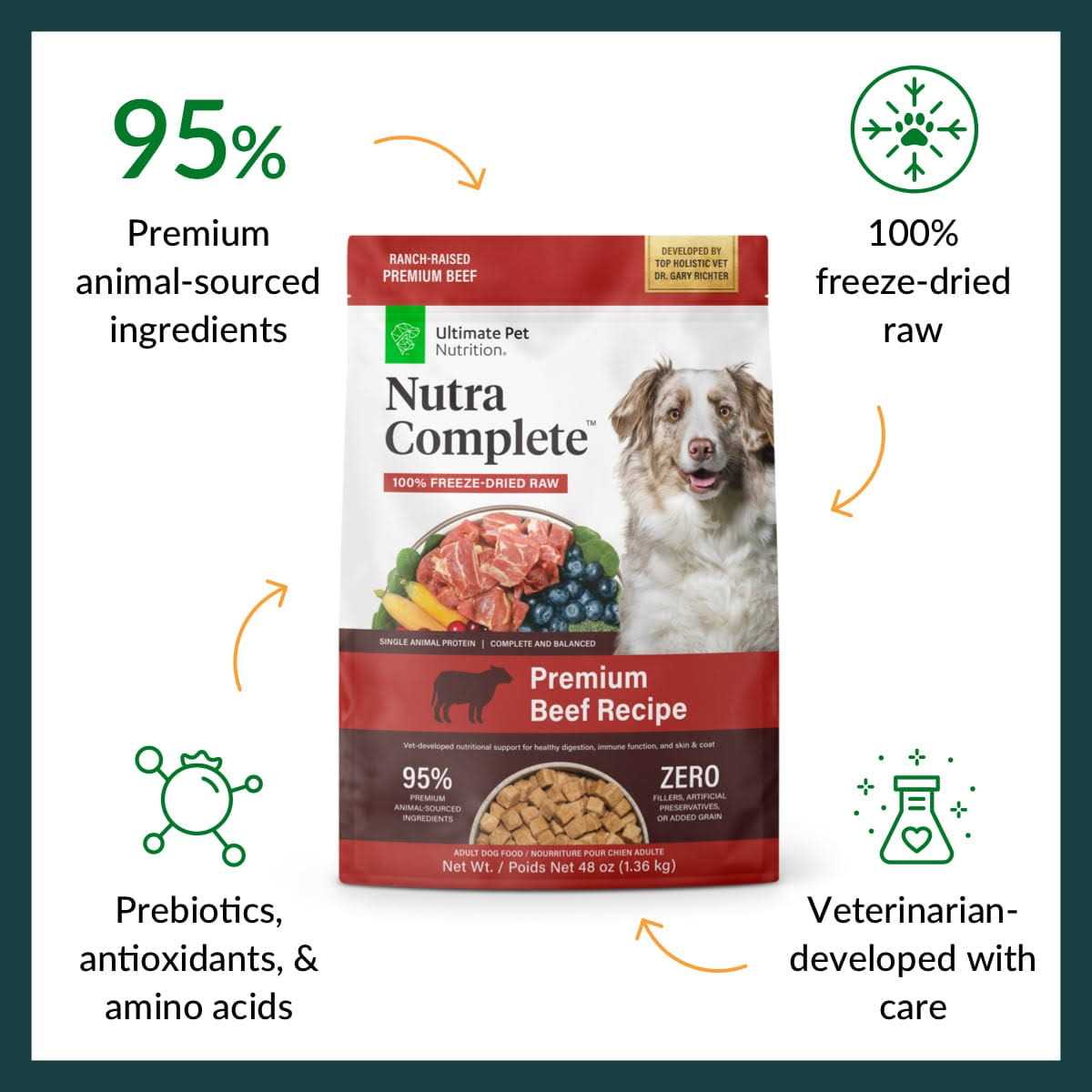 Freeze Dried Beef Dog Food V882