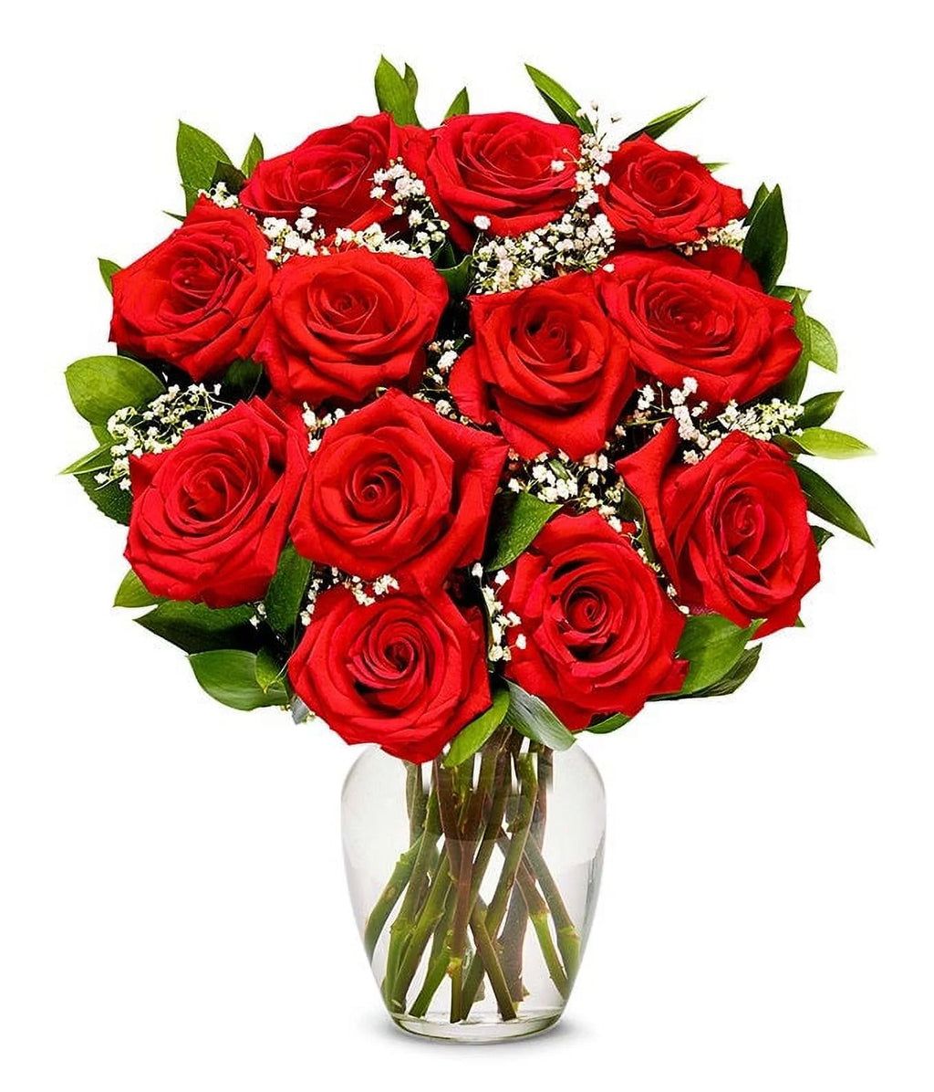 One Dozen Long Stemmed Red Roses Fresh Flowers L181717