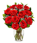 One Dozen Long Stemmed Red Roses Fresh Flowers L181717