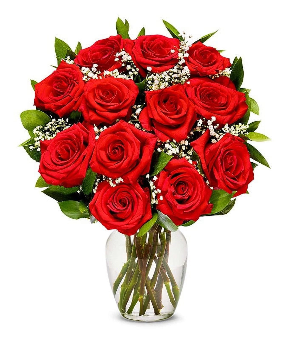 One Dozen Long Stemmed Red Roses Fresh Flowers L181717