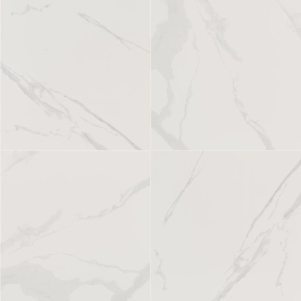 Polished Porcelain Floor and Wall Tile P249123